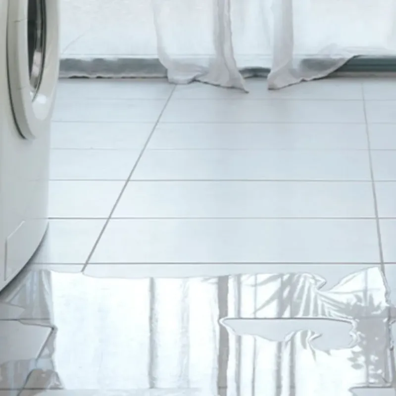 Appliance Leak Cleanup in Tarboro, NC