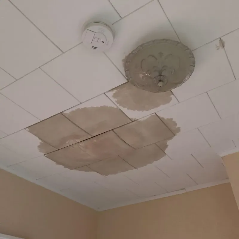Ceiling Water Damage Repair in Tarboro, NC