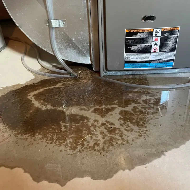 Pipe Burst and Leak Restoration in Tarboro, NC